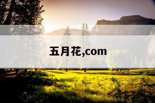 五月花,com