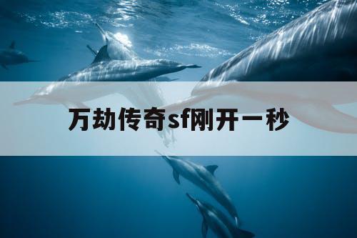 万劫传奇sf刚开一秒