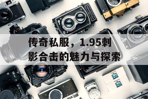 传奇私服，1.95刺影合击的魅力与探索