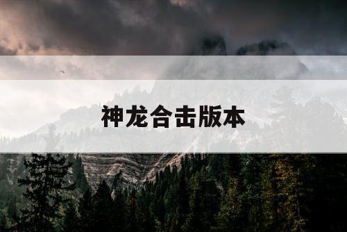 神龙合击版本