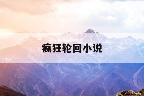 疯狂轮回小说