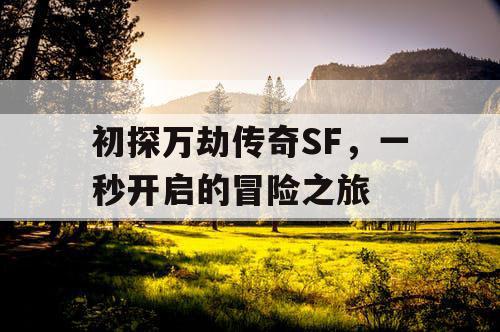 初探万劫传奇SF，一秒开启的冒险之旅