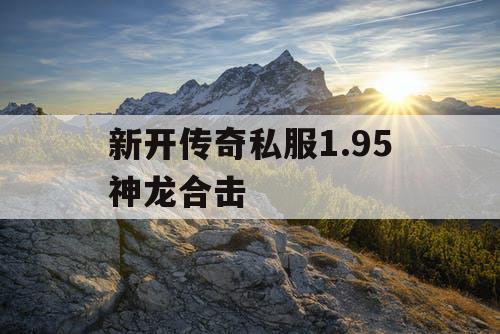 新开传奇私服1.95神龙合击