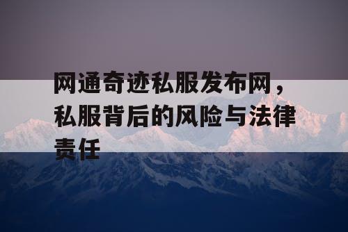 网通奇迹私服发布网，私服背后的风险与法律责任