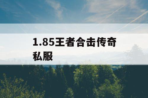 1.85王者合击传奇私服