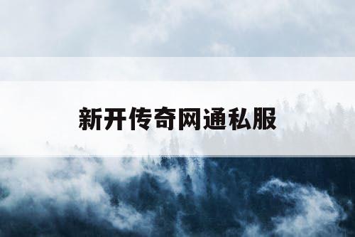 新开传奇网通私服