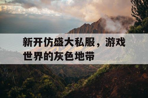 新开仿盛大私服，游戏世界的灰色地带