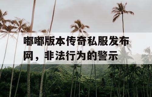嘟嘟版本传奇私服发布网，非法行为的警示