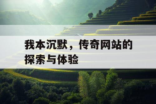 我本沉默，传奇网站的探索与体验
