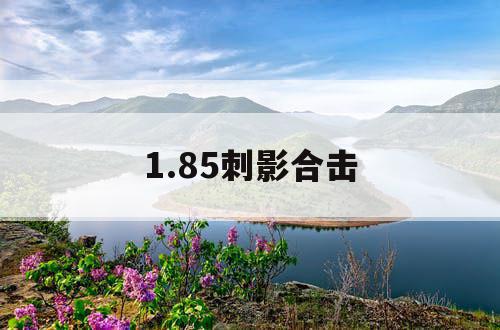 1.85刺影合击