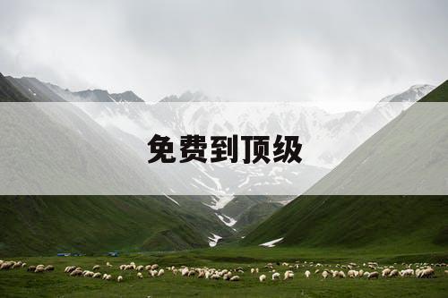 免费到顶级