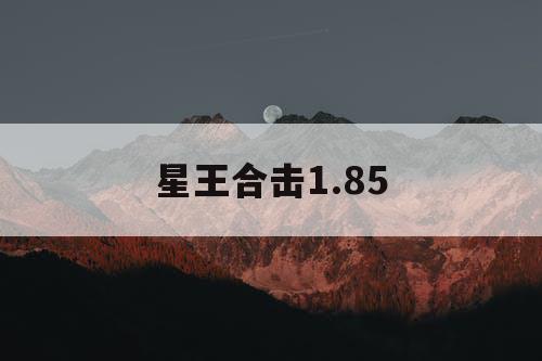 星王合击1.85
