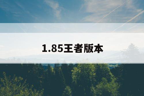 1.85王者版本