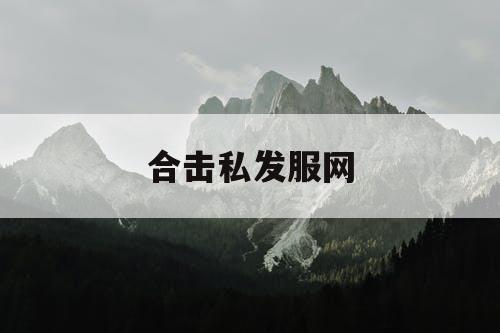 合击私发服网