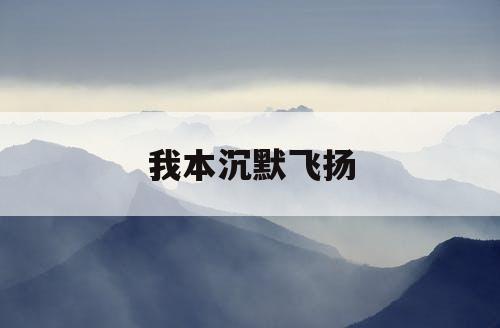 我本沉默飞扬