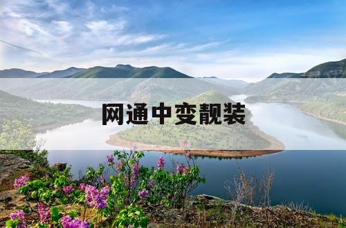 网通中变靓装