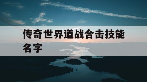 传奇世界道战合击技能名字