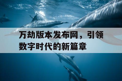 万劫版本发布网，引领数字时代的新篇章