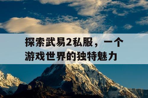 探索武易2私服，一个游戏世界的独特魅力