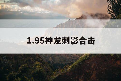 1.95神龙刺影合击