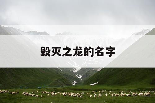 毁灭之龙的名字