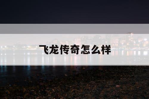 飞龙传奇怎么样