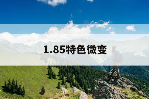 1.85特色微变