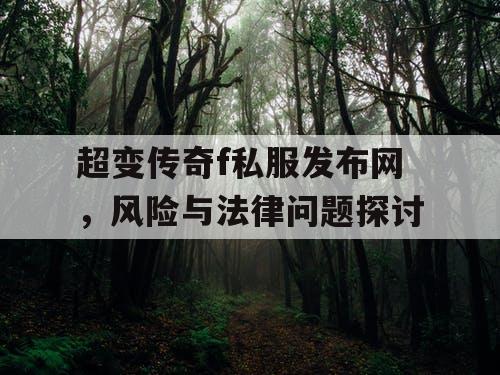 超变传奇f私服发布网，风险与法律问题探讨
