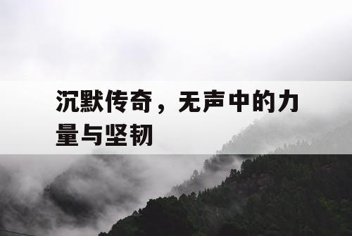 沉默传奇，无声中的力量与坚韧