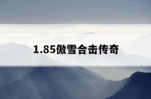 1.85傲雪合击传奇