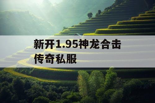 新开1.95神龙合击传奇私服