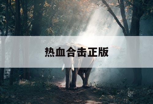 热血合击正版