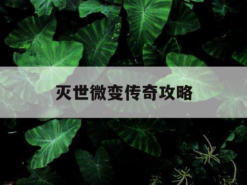 灭世微变传奇攻略