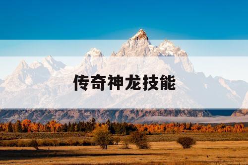传奇神龙技能