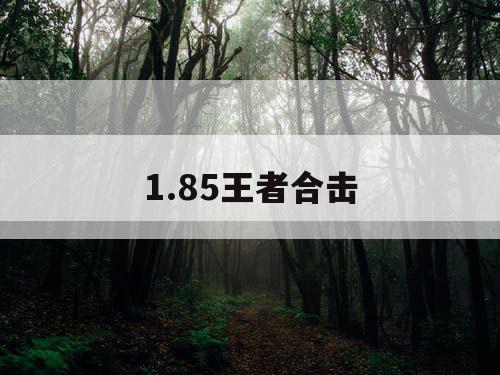 1.85王者合击