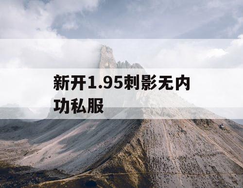 新开1.95刺影无内功私服
