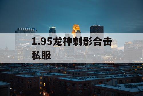 1.95龙神刺影合击私服