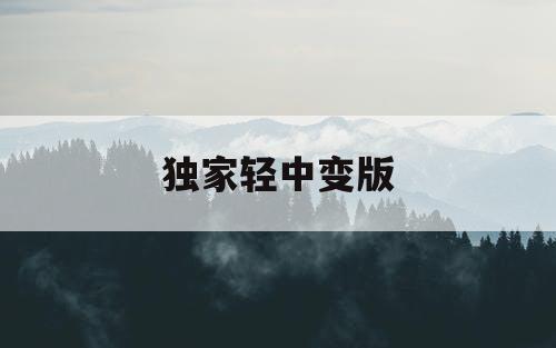 独家轻中变版