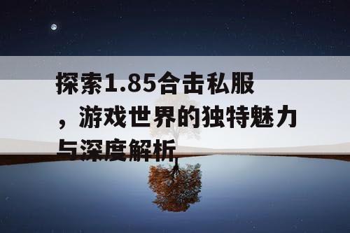 探索1.85合击私服，游戏世界的独特魅力与深度解析