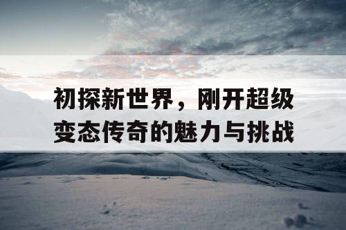 初探新世界，刚开超级变态传奇的魅力与挑战