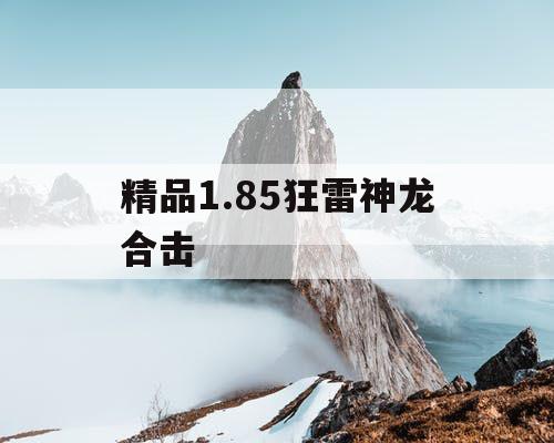 精品1.85狂雷神龙合击