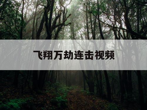 飞翔万劫连击视频