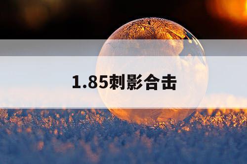 1.85刺影合击