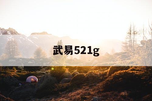 武易521g