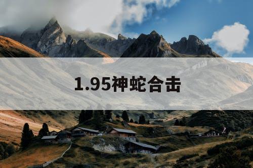 1.95神蛇合击