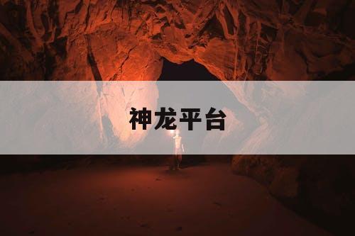 神龙平台