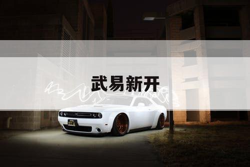 武易新开