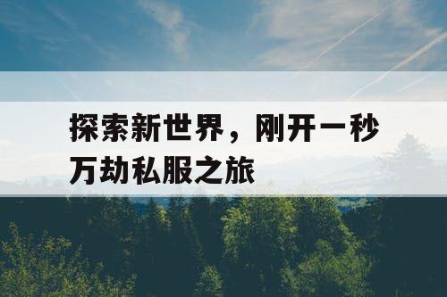 探索新世界，刚开一秒万劫私服之旅