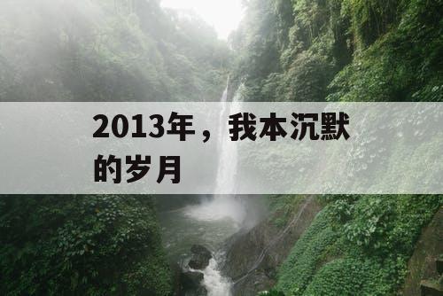 2013年，我本沉默的岁月