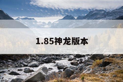 1.85神龙版本